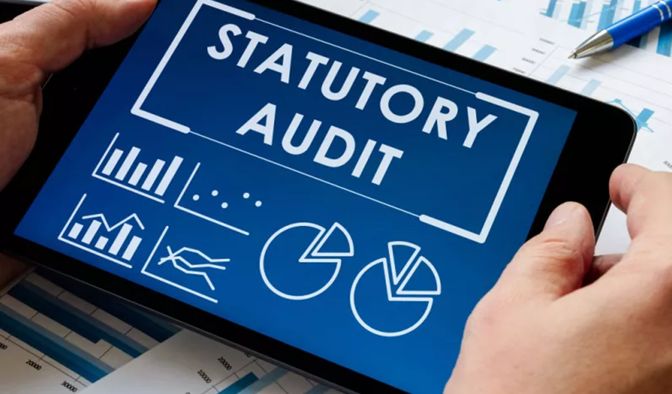 statutory-audit-for-companies